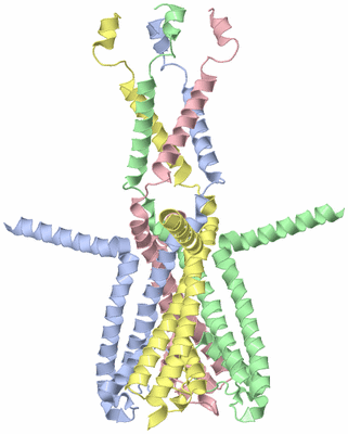 Image NMR Structure - model 1