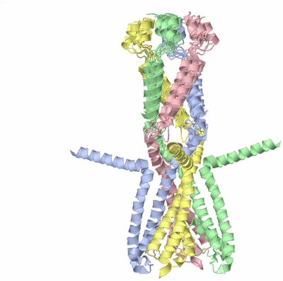 Image NMR Structure - all models