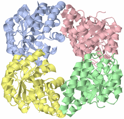 Image Asym./Biol. Unit