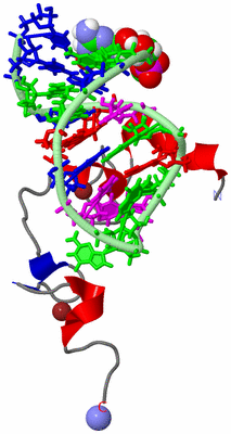 Image NMR Structure - model 1