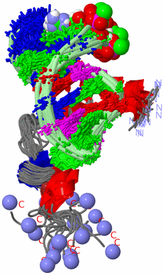 Image NMR Structure - all models