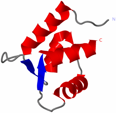 Image NMR Structure - model 1