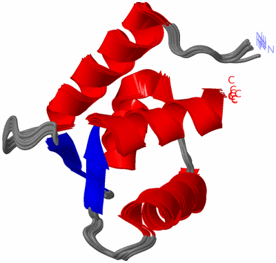 Image NMR Structure - all models