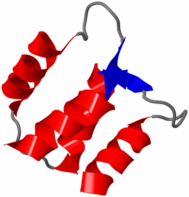 Image NMR Structure - model 1