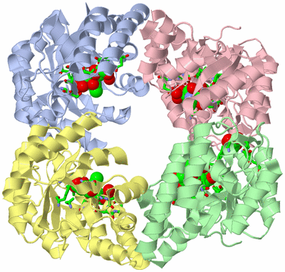 Image Asym./Biol. Unit - sites