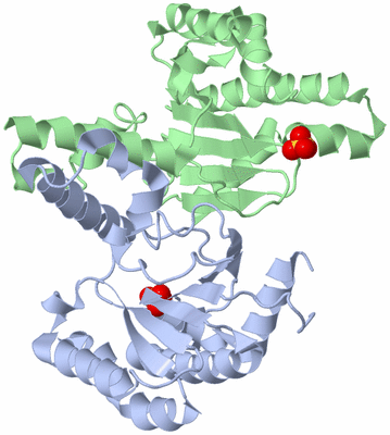 Image Asym./Biol. Unit