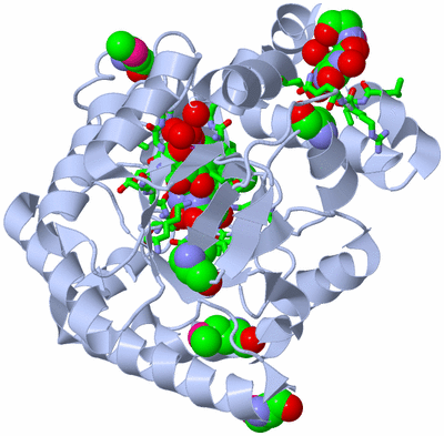 Image Biol. Unit 1 - sites