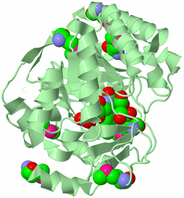 Image Biological Unit 2