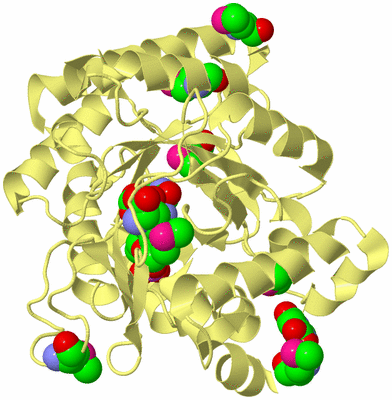 Image Biological Unit 3