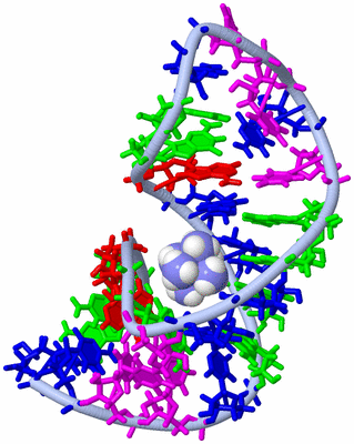 Image NMR Structure - model 1