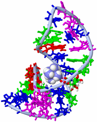 Image NMR Structure - model 1, sites