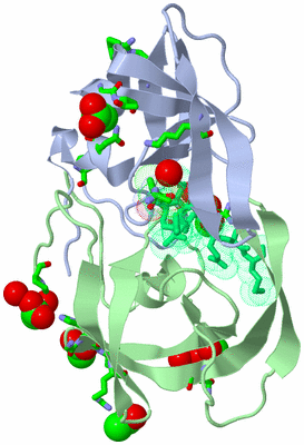 Image Asym./Biol. Unit - sites