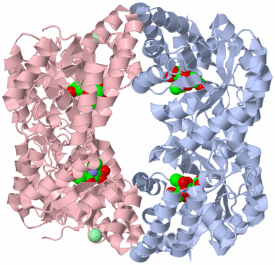 Image Biological Unit 1