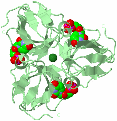 Image Biological Unit 3