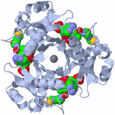 Image Biological Unit 1