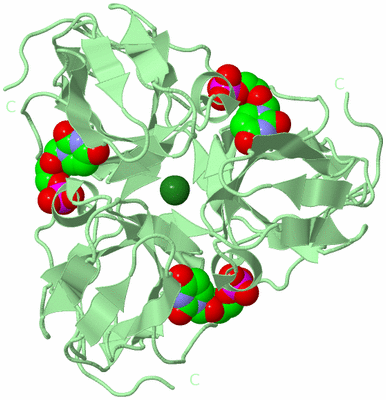 Image Biological Unit 3