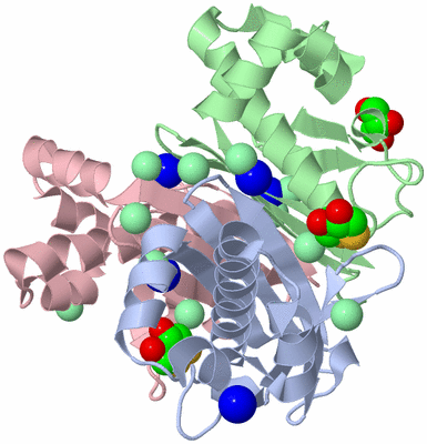 Image Biological Unit 1