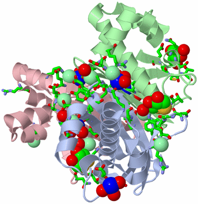 Image Biol. Unit 1 - sites