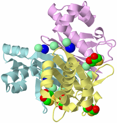 Image Biological Unit 2