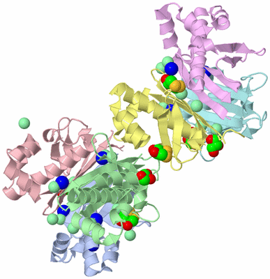 Image Biological Unit 3