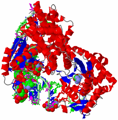 Image Asym./Biol. Unit