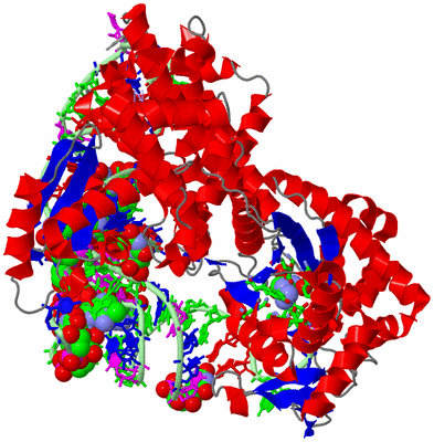 Image Asym./Biol. Unit - sites