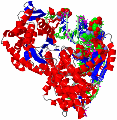 Image Asym./Biol. Unit