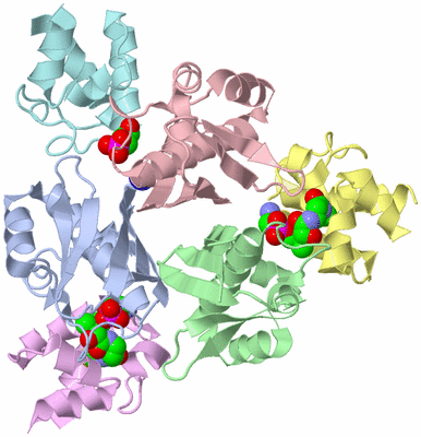 Image Asym./Biol. Unit