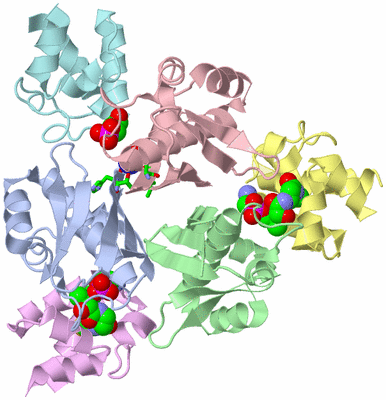 Image Asym./Biol. Unit - sites