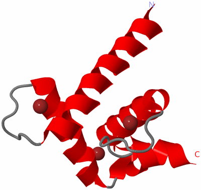 Image NMR Structure - model 1