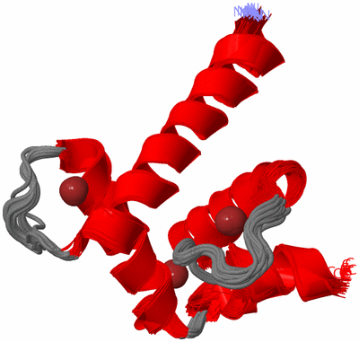 Image NMR Structure - all models