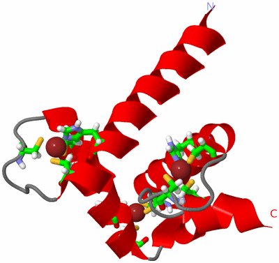 Image NMR Structure - model 1, sites