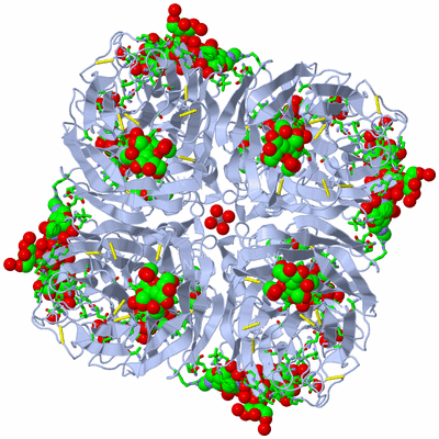 Image Biol. Unit 1 - sites