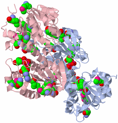 Image Biological Unit 1