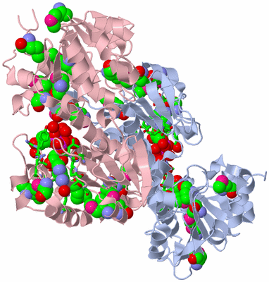 Image Biol. Unit 1 - sites