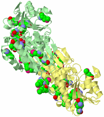 Image Biological Unit 2