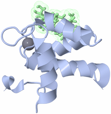 Image NMR Structure - model 1