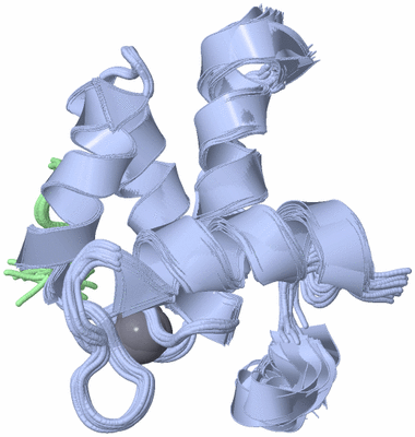 Image NMR Structure - all models