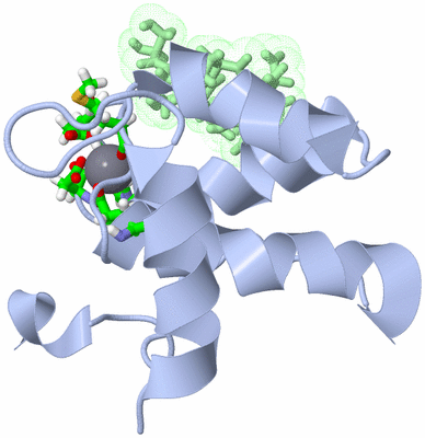 Image NMR Structure - model 1, sites