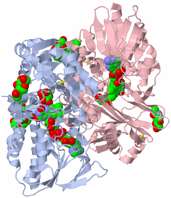 Image Biological Unit 1