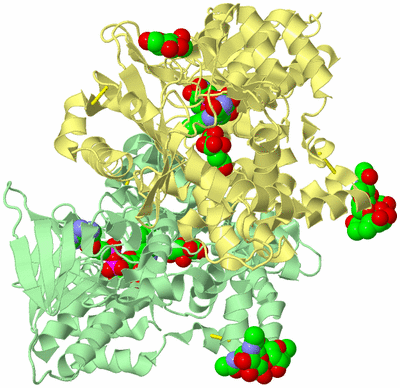 Image Biological Unit 2