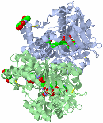 Image Biological Unit 1