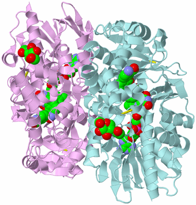 Image Biological Unit 3