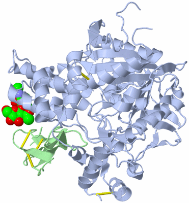 Image Biological Unit 1