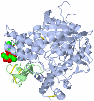 Image Biol. Unit 1 - sites