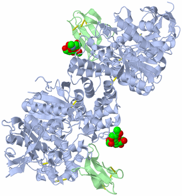 Image Biological Unit 2