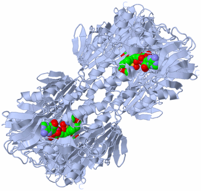 Image Biological Unit 1