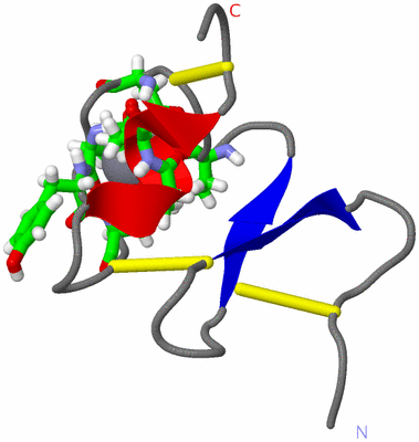 Image NMR Structure - model 1, sites