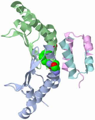 Image Biological Unit 1