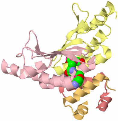 Image Biological Unit 2